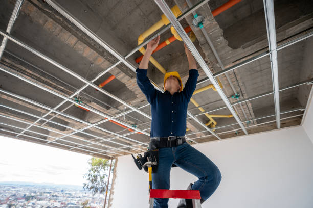 Best Local Plumber Services  in Far Hills, NJ